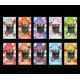 New Runtz 2g Dual Flavor Disposable Empty Vape